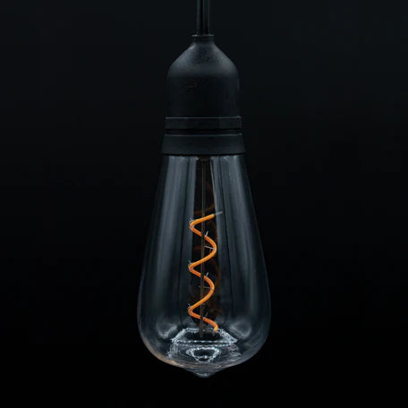 Indoor/outdoor Plug-in Led String Light, W/ St64 – Novelty Bulbs, Black – Each